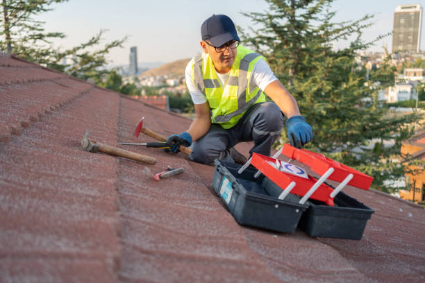 Best Storm Damage Siding Repair  in Springville, UT